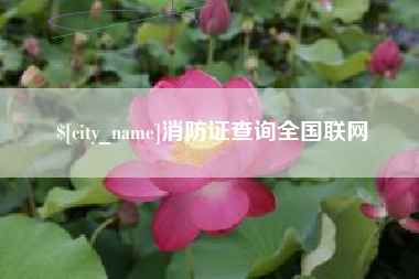 大庆消防证查询全国联网