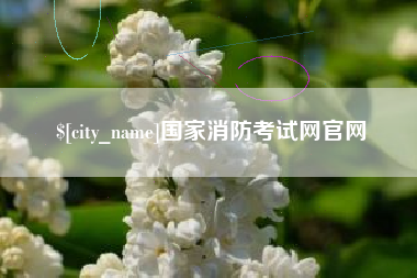 大庆国家消防考试网官网