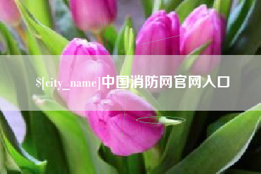 大庆中国消防网官网入口