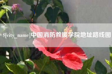 大庆中国消防救援学院地址路线图