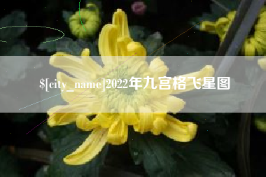 大庆2022年九宫格飞星图