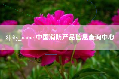大庆中国消防产品信息查询中心
