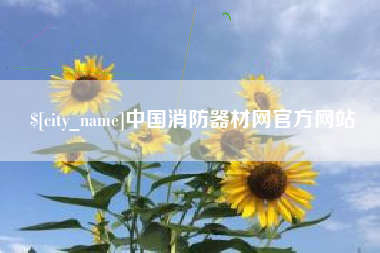 大庆中国消防器材网官方网站