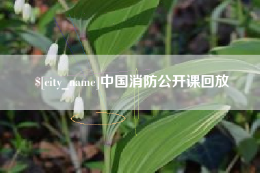 大庆中国消防公开课回放