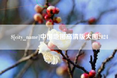 大庆中国地图高清版大图2024