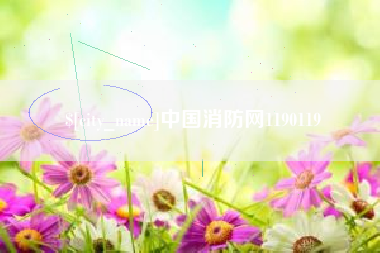 大庆中国消防网1190119