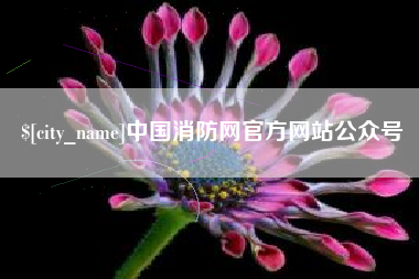 大庆中国消防网官方网站公众号