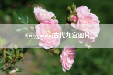 大庆古代九宫图片