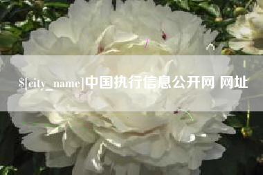 大庆中国执行信息公开网 网址