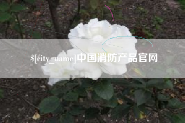 大庆中国消防产品官网