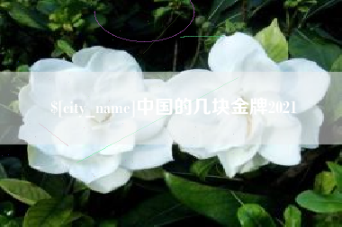 大庆中国的几块金牌2021