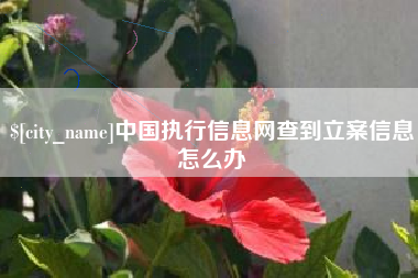 大庆中国执行信息网查到立案信息怎么办