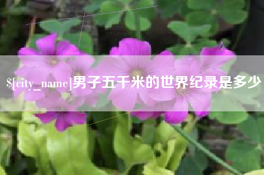 大庆男子五千米的世界纪录是多少