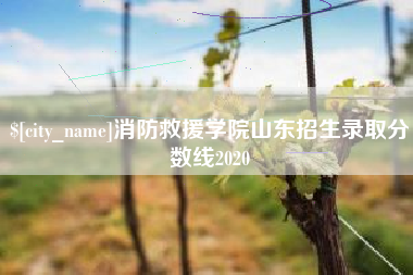 大庆消防救援学院山东招生录取分数线2020