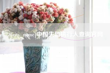 大庆中国失信执行人查询官网