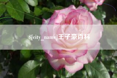 大庆王子豪百科
