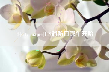 大庆119消防日哪年开始