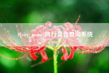 大庆执行公告查询系统