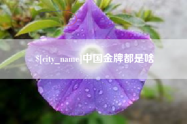 大庆中国金牌都是啥
