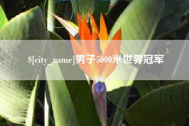 大庆男子5000米世界冠军