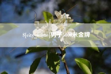 大庆男子5000米金牌