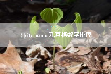 大庆九宫格数字排序