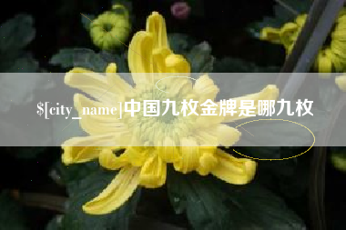 大庆中国九枚金牌是哪九枚