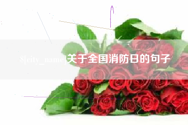 大庆关于全国消防日的句子