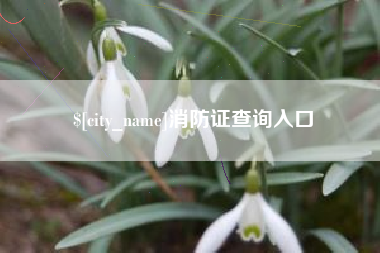 大庆消防证查询入口