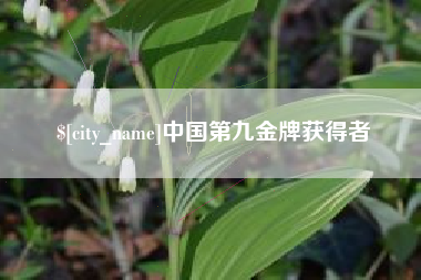 大庆中国第九金牌获得者