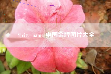 大庆中国金牌图片大全