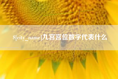 大庆九宫宫位数字代表什么