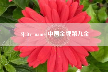 大庆中国金牌第九金