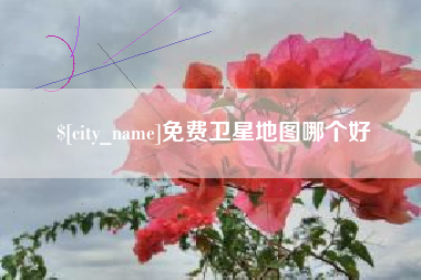 大庆免费卫星地图哪个好