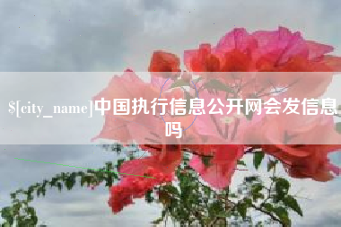 大庆中国执行信息公开网会发信息吗