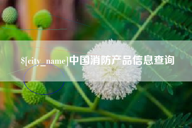 大庆中国消防产品信息查询