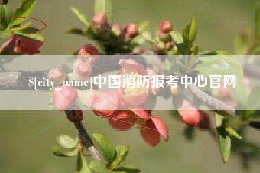 大庆中国消防报考中心官网