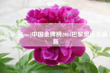 大庆中国金牌榜2024巴黎奥运会最新