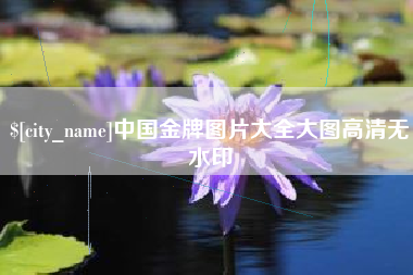 大庆中国金牌图片大全大图高清无水印