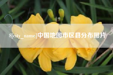大庆中国地图市区县分布图片