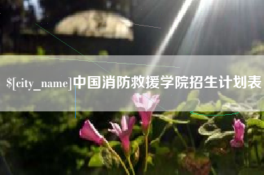 大庆中国消防救援学院招生计划表