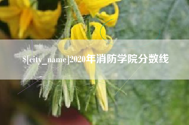 大庆2020年消防学院分数线