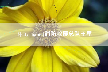 大庆消防救援总队王星