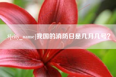 大庆我国的消防日是几月几号？