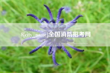 大庆全国消防招考网