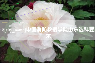 大庆中国消防救援学院山东选科要求