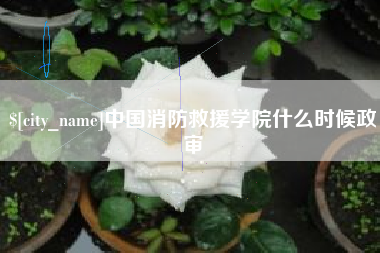 大庆中国消防救援学院什么时候政审