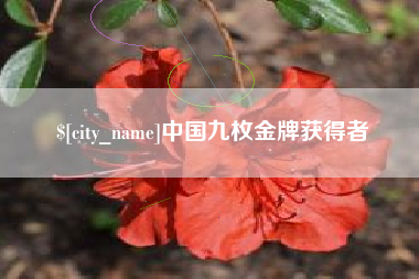 大庆中国九枚金牌获得者