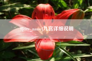 大庆九宫详细说明