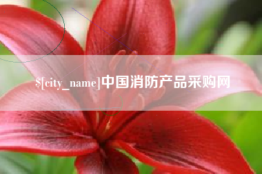 大庆中国消防产品采购网
